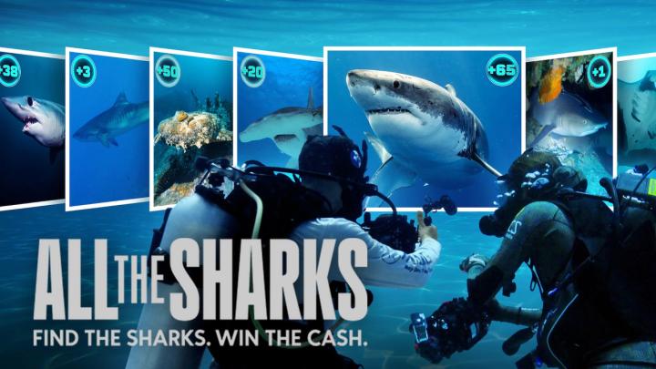 مسلسل All the Sharks مترجم